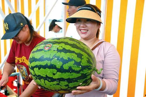 娱乐吃瓜网
